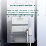 Frient Electricity Meter Interface 2, P1 energiebesparing Wit, Zigbee 3.0