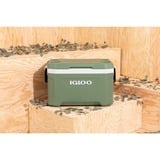 Igloo ECOCOOL Latitude 52 koelbox Groen/wit