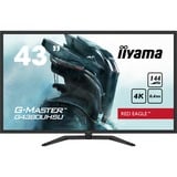 iiyama G-Master Red Eagle G4380UHSU-B1 43" 4K UHD gaming monitor Zwart, 4K, 144Hz, HDMI, DisplayPort, USB, Audio, FreeSync 