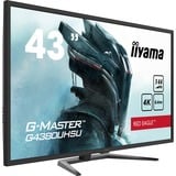 iiyama G-Master Red Eagle G4380UHSU-B1 43" 4K UHD gaming monitor Zwart, 4K, 144Hz, HDMI, DisplayPort, USB, Audio, FreeSync 