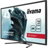 iiyama G-Master Red Eagle G4380UHSU-B1 43" 4K UHD gaming monitor Zwart, 4K, 144Hz, HDMI, DisplayPort, USB, Audio, FreeSync 