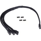 Alphacool Y-Kabel RGB 4polig > 3x 4polig splitterkabel Zwart, 30cm