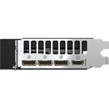 GIGABYTE AORUS GeForce RTX 5060 ELITE 8G grafische kaart 3x DisplayPort, 1x HDMI, DLSS 4