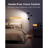 Govee Tree Floor Lamp verlichting Zwart, 2.4GHz Wi-Fi + Bluetooth