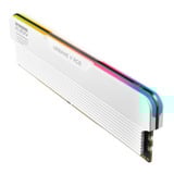 KLEVV 32 GB DDR5-6000 (2x 16 GB) Kit werkgeheugen Wit, KD5AGUA80-60A300M, URBAN V RGB, XMP 3.0, EXPO