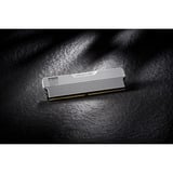 KLEVV 32 GB DDR5-6000 (2x 16 GB) Kit werkgeheugen Wit, KD5AGUA80-60A300M, URBAN V RGB, XMP 3.0, EXPO