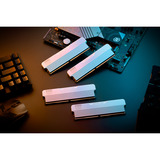 KLEVV URBANE V RGB 32 GB DDR5-6000 (2x 16 GB) werkgeheugen Wit, KD5AGUA80-60A300M, XMP 3.0, EXPO