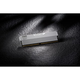 KLEVV URBAN V RGB 32 GB DDR5-6000 (2x 16 GB) werkgeheugen Wit, KD5AGUA80-60A300M, XMP 3.0, EXPO