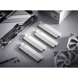 KLEVV URBAN V RGB 32 GB DDR5-6000 (2x 16 GB) werkgeheugen Wit, KD5AGUA80-60A300M, XMP 3.0, EXPO