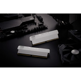 KLEVV URBAN V RGB 32 GB DDR5-6000 (2x 16 GB) werkgeheugen Wit, KD5AGUA80-60A300M, XMP 3.0, EXPO