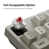 Keychron C1 Pro-M1, toetsenbord Grijs, US lay-out, Keychron Super Red, 80% TKL, RGB leds, OSA Double-Shot PBT, hot swap, 8000 Hz