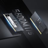 Lexar 16 GB DDR5-5600 (1x 16 GB) laptopgeheugen Zwart, LD5S16G56C46ST-BGS, SO-DIMM