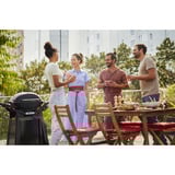 Weber Q 2800N+ gasbarbecue met onderstel Zwart, 2 Branders | Propaan/butaan