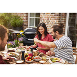 Weber Q 2800N+ gasbarbecue met onderstel Zwart, 2 Branders | Propaan/butaan