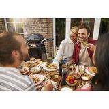 Weber Q 2800N+ gasbarbecue met onderstel Zwart, 2 Branders | Propaan/butaan