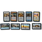 999 Games Dominion: Menagerie Kaartspel Nederlands, Uitbreiding, 2-4 spelers, 30 minuten, vanaf 12 jaar