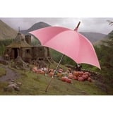 Noble Collection Harry Potter: Rubeus Hagrid's Umbrella Wand decoratie Roze