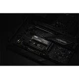 KLEVV CRAS C910G 4 TB SSD Zwart, K04TBM2SP0-10G, PCIe Gen 4.0 x4, NVMe 2.0