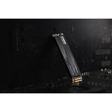 KLEVV CRAS C910G 4 TB SSD Zwart, K04TBM2SP0-10G, PCIe Gen 4.0 x4, NVMe 2.0