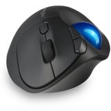 Kensington Pro Fit Ergo TB450 Trackball Zwart, 400 - 1600 DPI, Bluetooth, 2.4 GHz