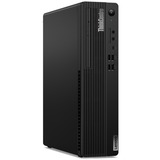 Lenovo ThinkCentre M70s (11EX000LMH) pc-systeem Zwart, 8GB, Gb-LAN, Win 10 Pro