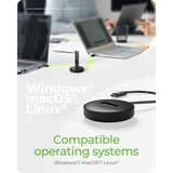 ICY BOX IB-1610MCD-C31 DockingStation voor NVMe & SATA M.2 SSD Zwart