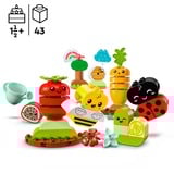 LEGO DUPLO - Biotuintje Constructiespeelgoed 10984