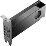 NVIDIA® RTX PRO 2000 Blackwell grafische kaart GDDR7 ECC, 4x Mini-DisplayPort