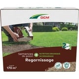 DCM Graszaad Plus Herstel 2,55 kg zaden Tot 170 m²