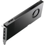 PNY NVIDIA RTX PRO 4000 SFF Blackwell 24GB SB grafische kaart 4x Mini DisplayPort 2.1, Bulk