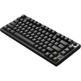 HelloGanss HS75T Black, toetsenbord Zwart, US lay-out, Gateron G Pro Silver, 75%, RGB leds, PBT Doubleshot keycaps, hot swap, 2,4 GHz / Bluetooth / USB-C