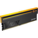 Lexar THOR 16 GB (1x 16 GB) werkgeheugen Zwart, LD5U16G60C36BV-RGS, XMP, EXPO