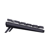 Trust GXT 868 Torix Premium draadloos mechanisch RGB gaming toetsenbord Zwart, US lay-out (QWERTY), Huano White, 100%