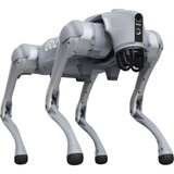 Unitree  robot Grijs
