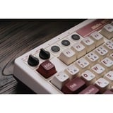 8BitDo Famicom Bundel mechanisch gaming toetsenbord Beige, US lay-out (QWERTY), Kailh Box White, 80% (TKL)	, USB / 2,4 GHz / Bluetooth