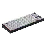 Hator Skyfall MAG Ultra 8K RGB mechanisch gaming toetsenbord Zwart, US lay-out (QWERTY), HATOR Aurum Ice, 80% (TKL)	, RGB, Double-shot PBT, Hot-swap