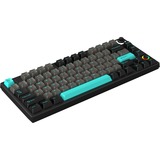 HelloGanss HS75T Obsidian, toetsenbord Zwart/grijs, US lay-out, Gateron White, 75%, RGB leds, PBT Doubleshot keycaps, hot swap, 2,4 GHz / Bluetooth / USB-C