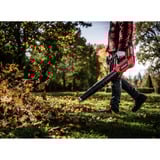 EINHELL Accu Professional Bladblazer GP-LB 36/230 Li E BL-Solo Rood/zwart, Accu en oplader niet inbegrepen