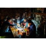 Ledlenser  ledverlichting Zwart/grijs