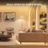 Govee Strip Light S Segmented Colour Control led strip 10 meter, 2,4GHz wifi, Bluetooth