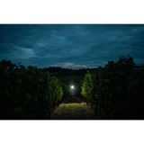 Ledlenser Hoofdlamp H7R Signature ledverlichting Zwart
