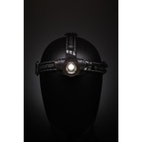 Ledlenser Hoofdlamp H7R Signature ledverlichting Zwart