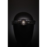 Ledlenser Hoofdlamp H7R Signature ledverlichting Zwart