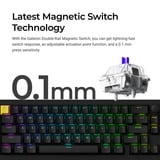 Lemokey P2 HE-P1 Wireless Magnetic Switch Custom Gaming Keyboard Wit, US lay-out, Gateron Double-Rail Magnetic Nebula, 65%, RGB leds, double-shot PBT, hot swap, Knob, 2.4GHz | Bluetooth 5.2 | USB-C