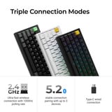 Lemokey P2 HE-P1 Wireless Magnetic Switch Custom Gaming Keyboard Wit, US lay-out, Gateron Double-Rail Magnetic Nebula, 65%, RGB leds, double-shot PBT, hot swap, Knob, 2.4GHz | Bluetooth 5.2 | USB-C