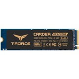 Team Group CARDEA Z44L 1 TB SSD Zwart/goud, TM8FPL001T0C127, PCIe 4.0 x4, NVMe 1.4, M.2 2280