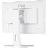iiyama ProLite XUB2492HSU-W5 23.8" Monitor Wit, 75Hz, VGA, HDMI, DisplayPort, Audio