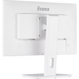 iiyama ProLite XUB2492HSU-W5 23.8" Monitor Wit, 75Hz, VGA, HDMI, DisplayPort, Audio
