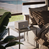 Audio Pro C5 MkII W luidspreker Grijs, Bluetooth 4.2, WiFi