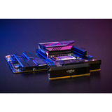 Crucial PRO OC 64 GB DDR5-6000 (2x 32 GB) werkgeheugen Zwart, CP2K32G60C40U5B, XMP 3.0, EXPO